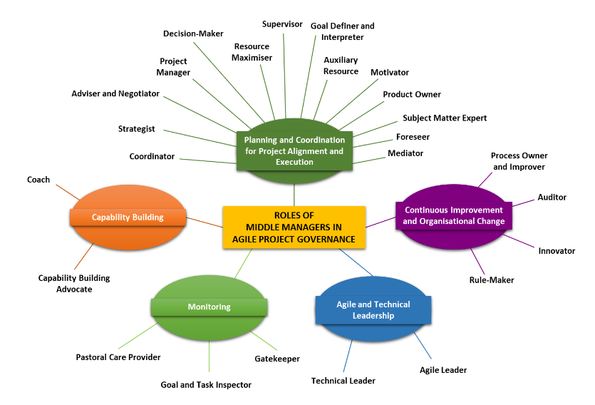 Figure 1: Model of 25 middle management roles in agile project governance