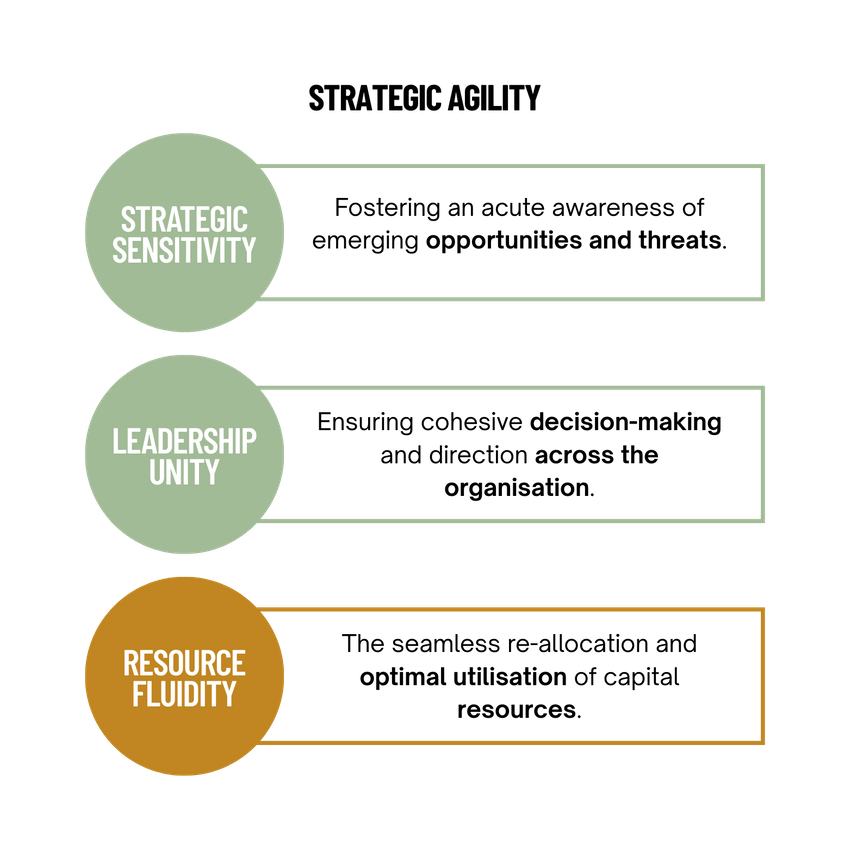 Ontario Strategic Agility Infographic.png