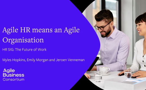 HRSIG Agile HR means.jpg