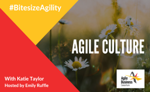 bitesize-agility-agile-culture.png