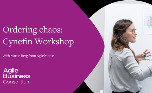Cynefin Workshop Front Artwork.png