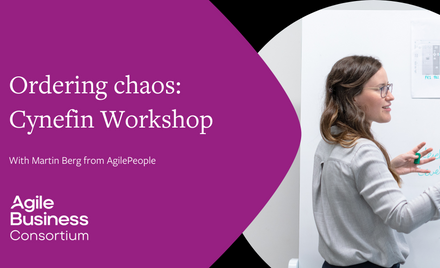 Cynefin Workshop Front Artwork.png