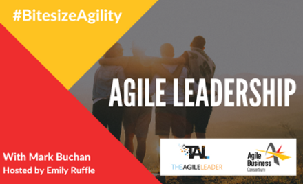agile-leadership.png