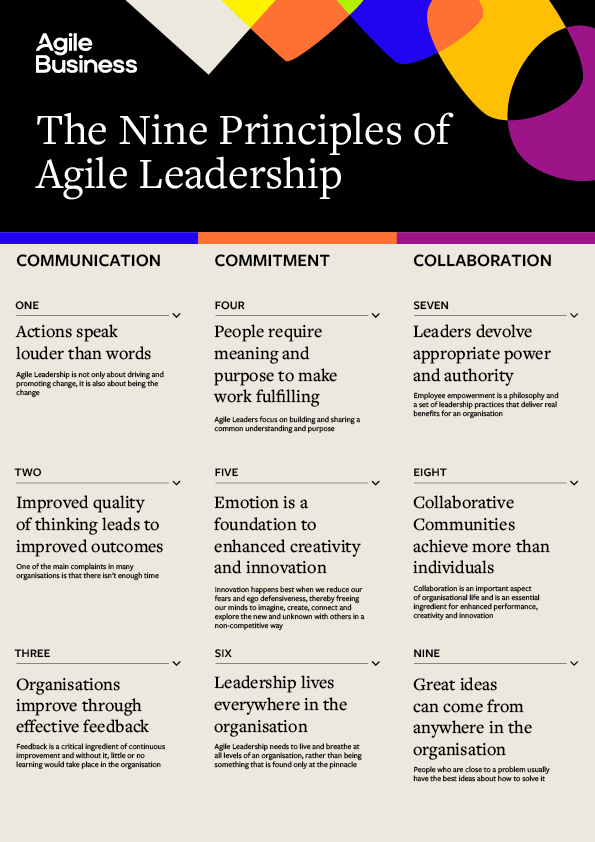 The Nine Principles of Agile Leadership Poster 