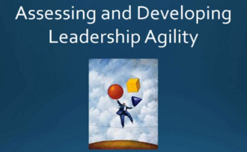 assessing-developing-leadership-agility.png