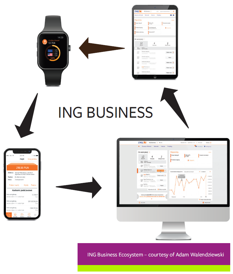 ING Bank’s Digital Platform Tribe Goes Agile - Business Ecosystem.PNG