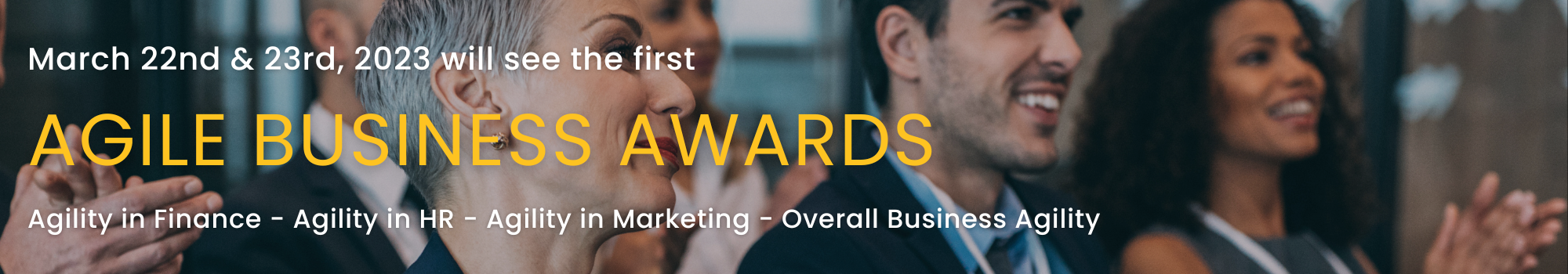 Agile Business Awards Banner 2