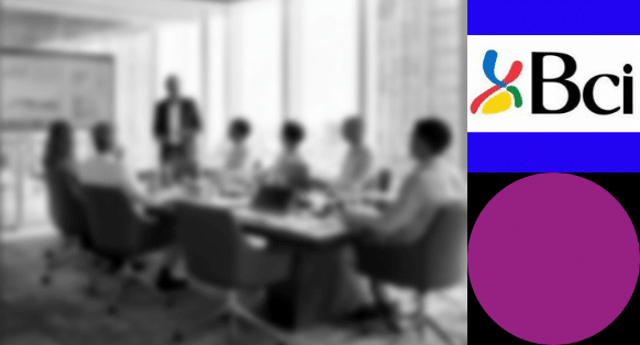 BCI-Bank-Hero