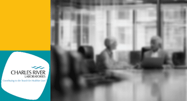 From Burnout to Breakthroughs: An Agile Marketing Transformation